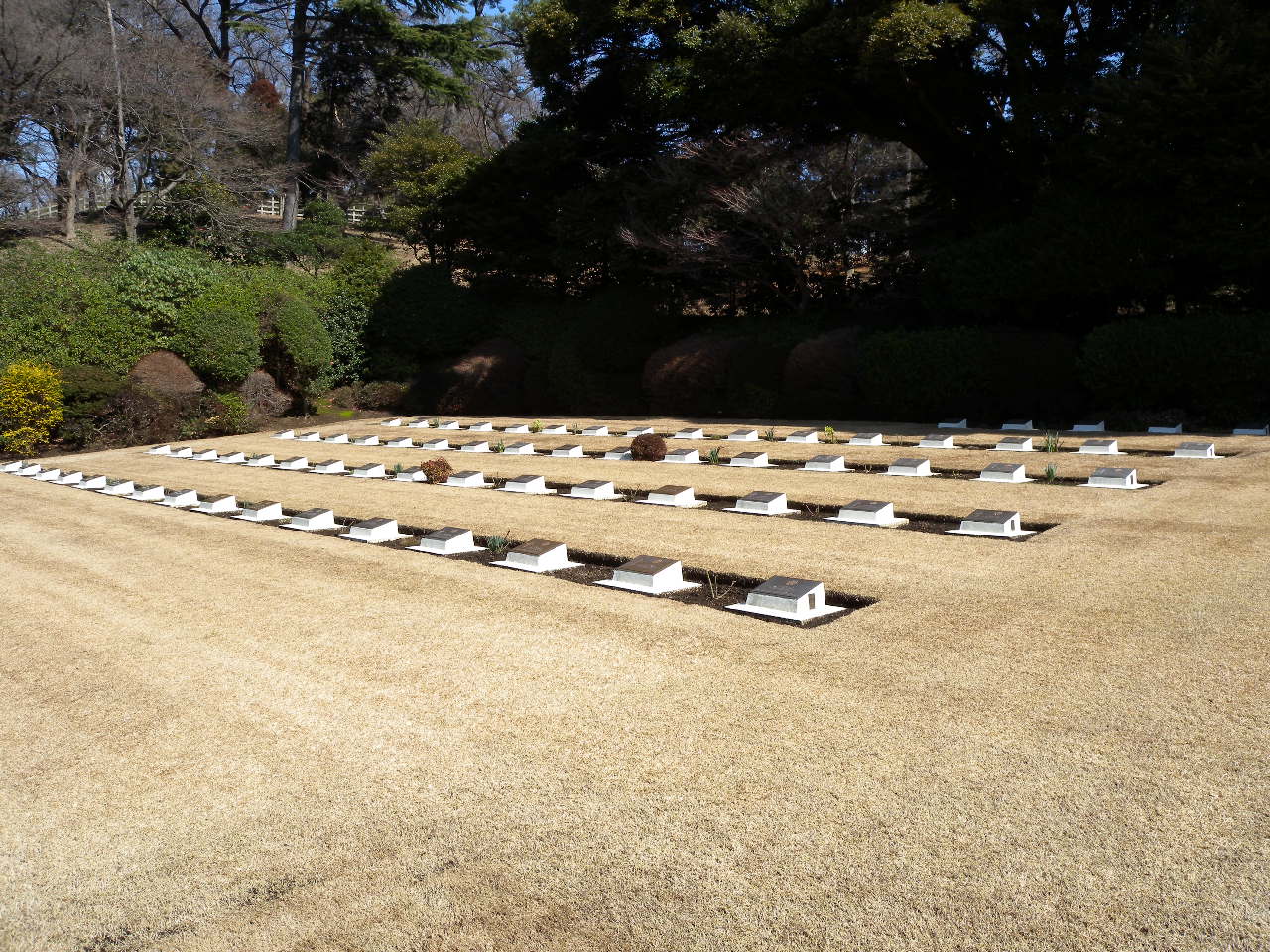 Canadian Section - Plot A.JPG